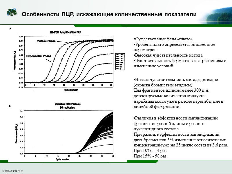 Особенности ПЦР, искажающие количественные показатели Существование фазы «плато» Уровень плато определяется множеством параметров Высокая